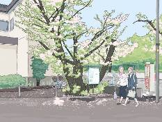 1536331960977694.jpg 1536331960977694.jpg