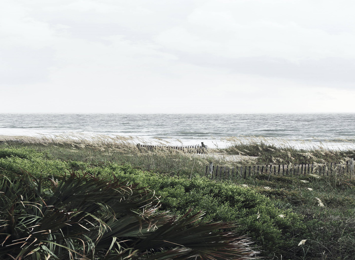 1529202530660733.png 图片1.png